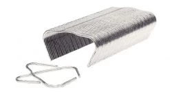 Rapid 311184 Agrafes vigne en fil clair C75